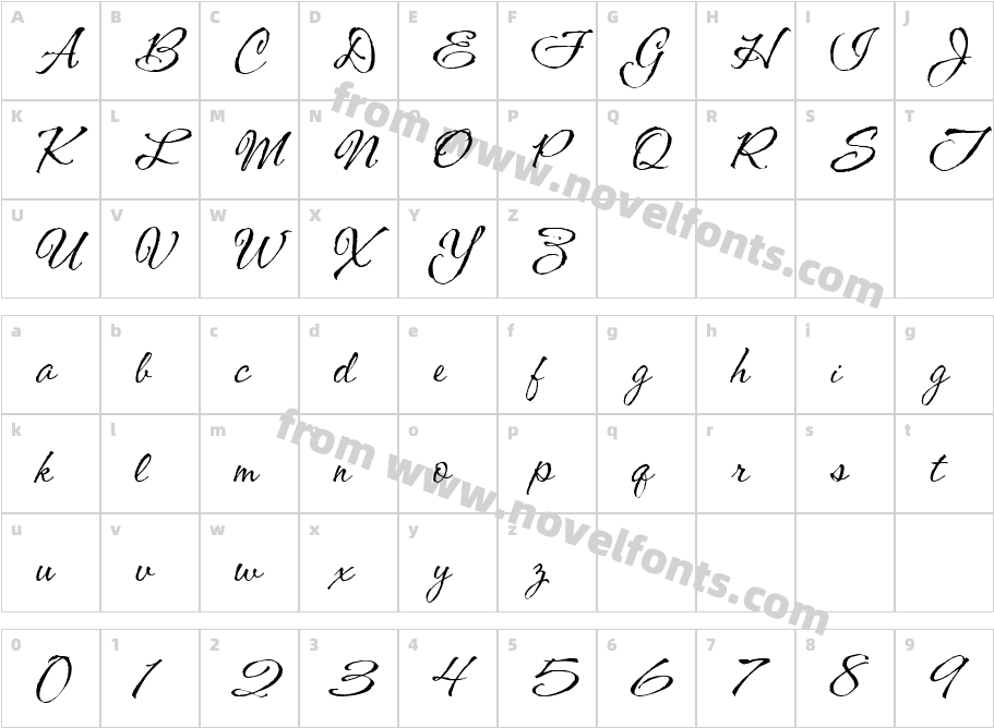 CAC Shishoni BrushCharacter Map