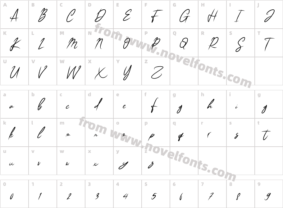 CLASSIC SIGNATURE DEMOCharacter Map