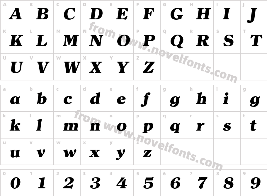 ClearfaceSerialHeavyItalicCharacter Map