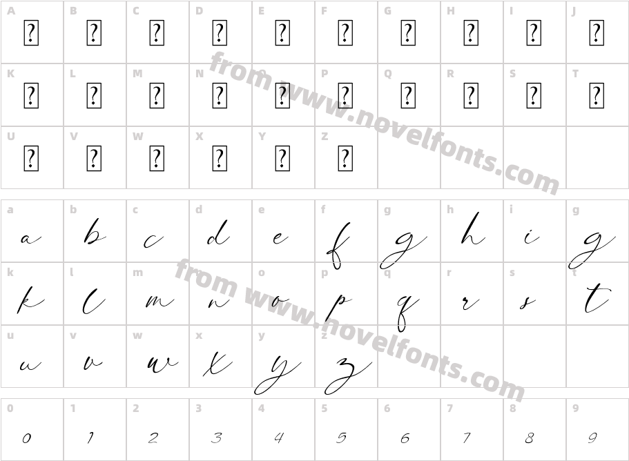 Clinton Signature personal useCharacter Map