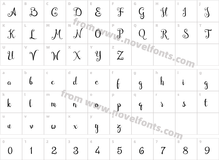 CymbidiumCharacter Map