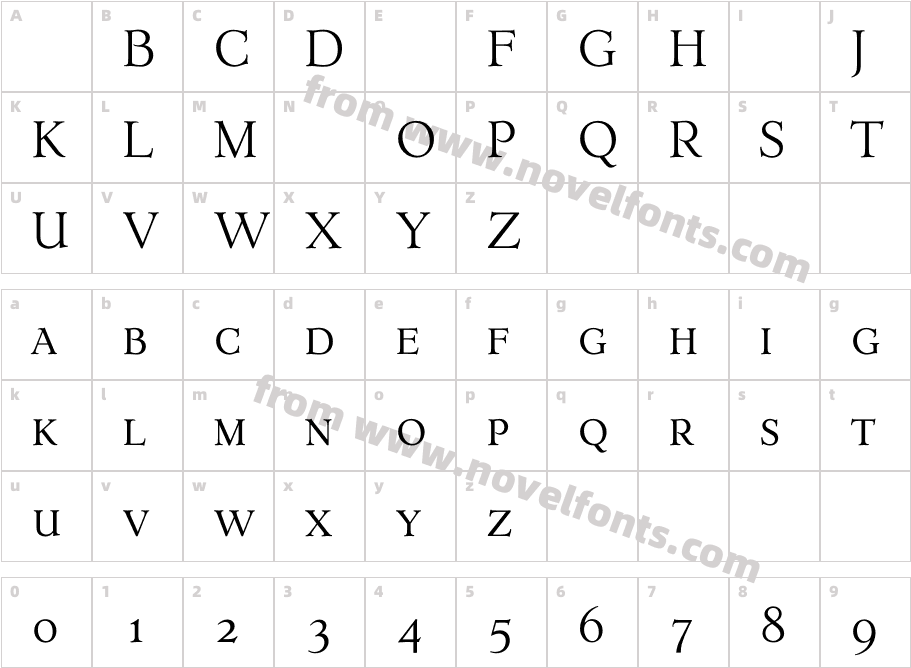 ErasmusLightExpertCharacter Map