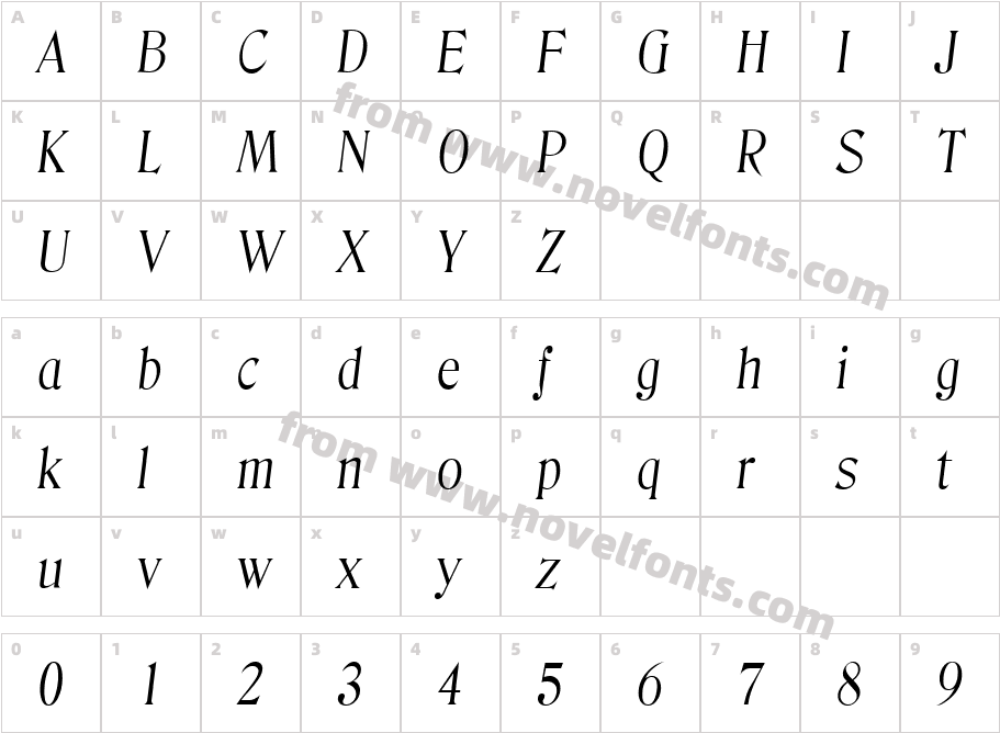 DenverSerialLightItalicCharacter Map