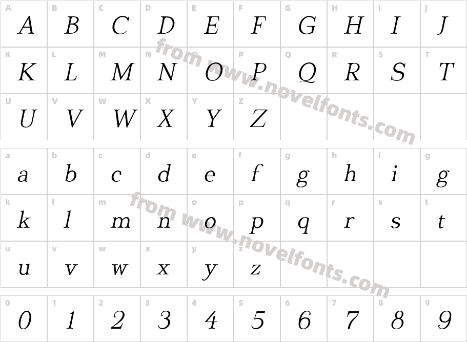 DionisiiOTF-LightItalicCharacter Map