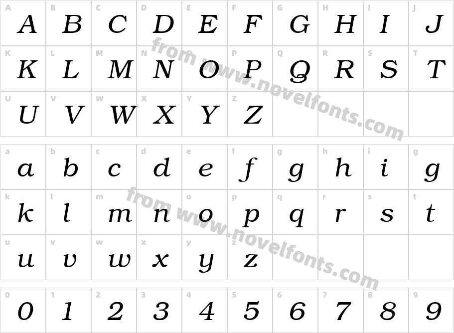 ERBukinistKOI8ItalicCharacter Map