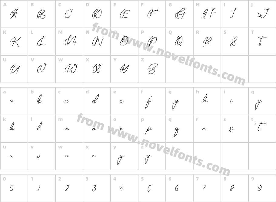 GATUSSO DEMOCharacter Map