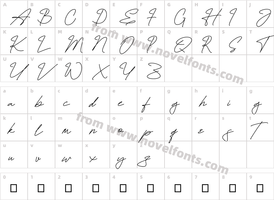 Hamiltton Signature Regular Personal Use OnlyCharacter Map