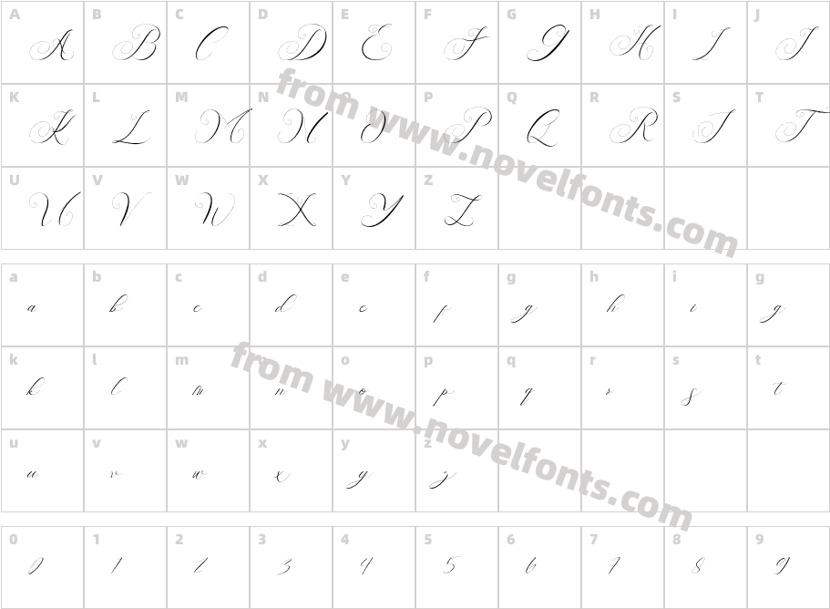 Holsity ItalicCharacter Map