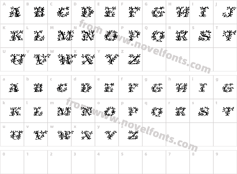 IvyDisplayCaps_ItalicCharacter Map