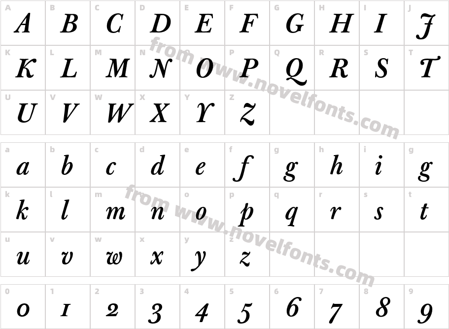 JBaskervilleTMed-ItalicCharacter Map