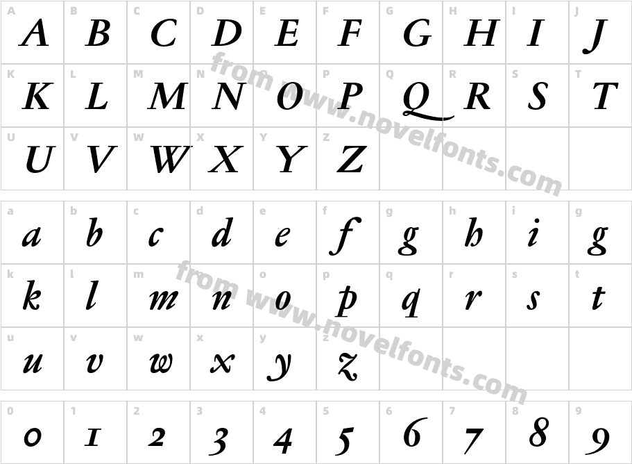 JannonTextMedOSF-BoldItalicCharacter Map