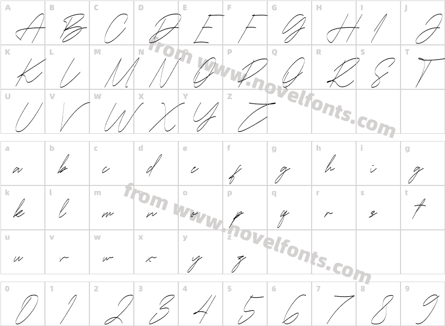 JellmotsyCharacter Map