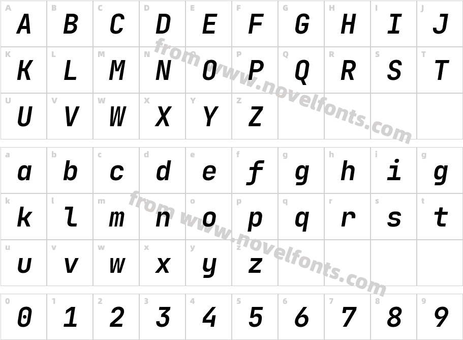 JetBrainsMonoNL-BoldItalicCharacter Map