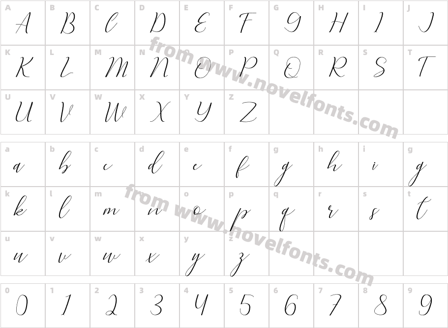 Femme EleganteCharacter Map