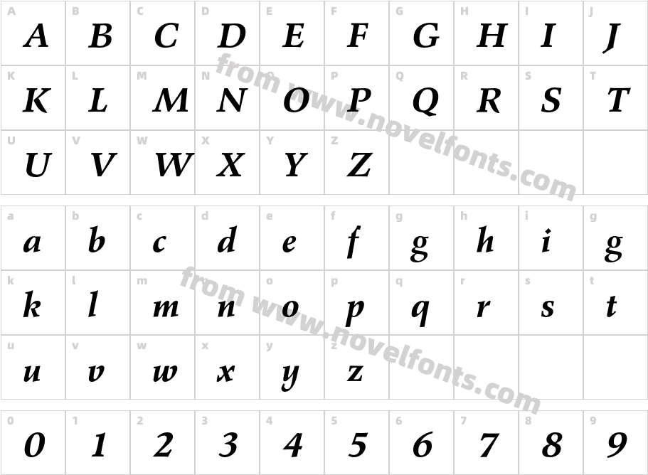 AgfaWileRomanStd-BoldItCharacter Map