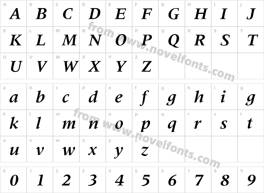 M690RomanBoldItalicCharacter Map