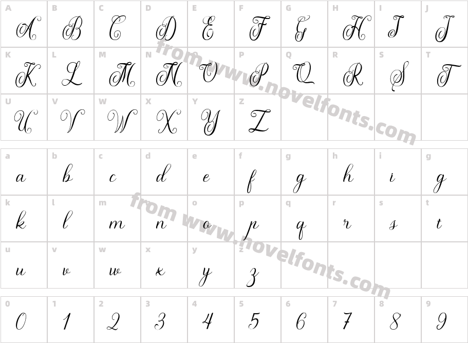 Maldini Script BoldCharacter Map