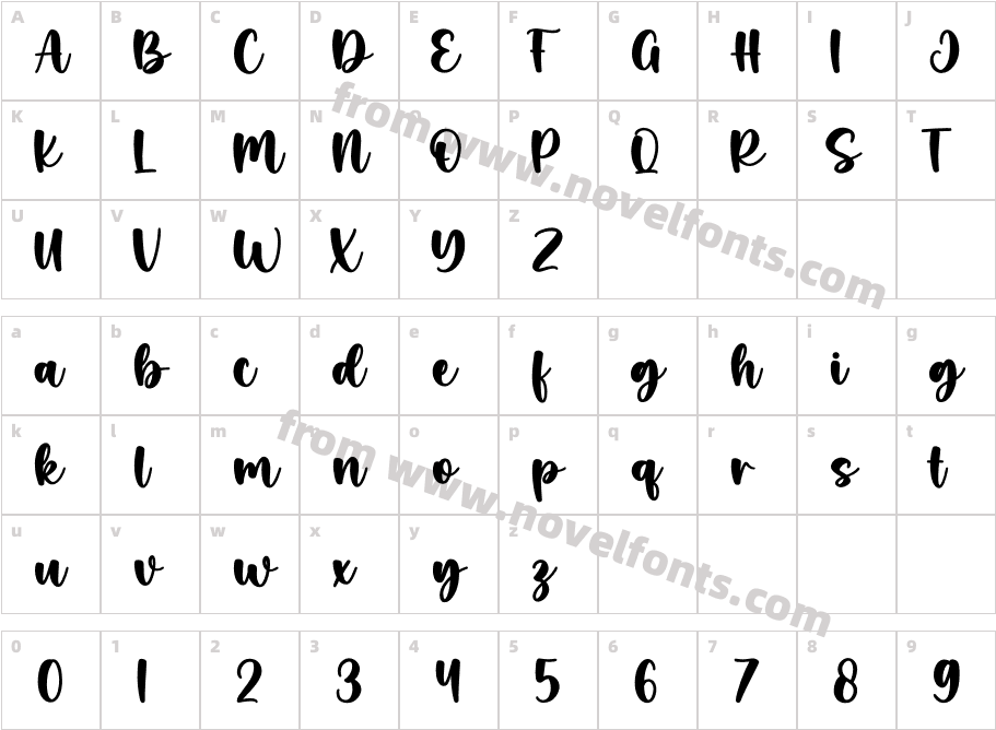 MicheliaRegularCharacter Map