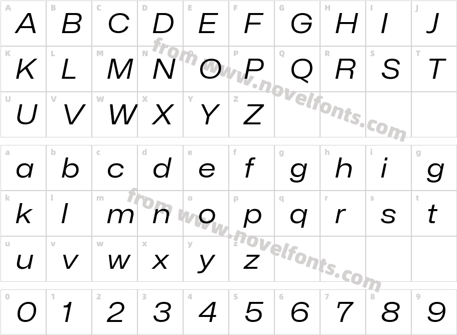 Mona-Sans Regular Wide ItalicCharacter Map