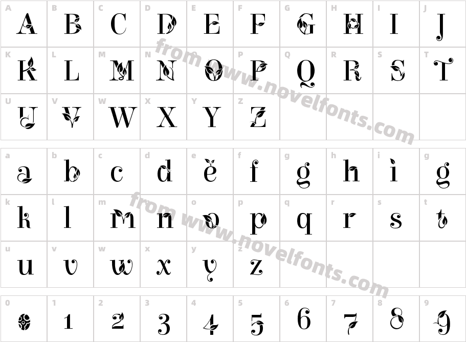 NewbornCharacter Map