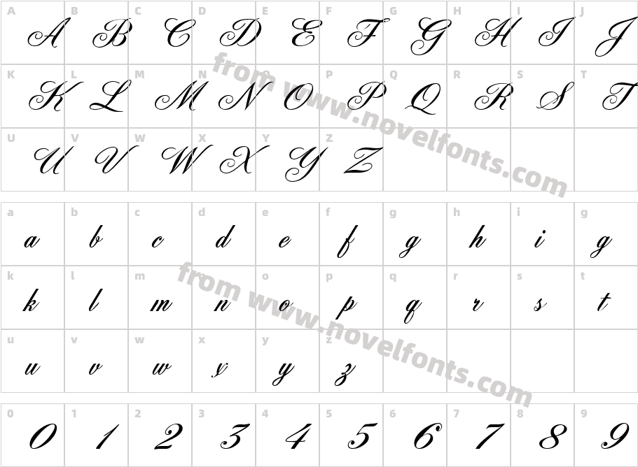 FleurishScript RegularCharacter Map