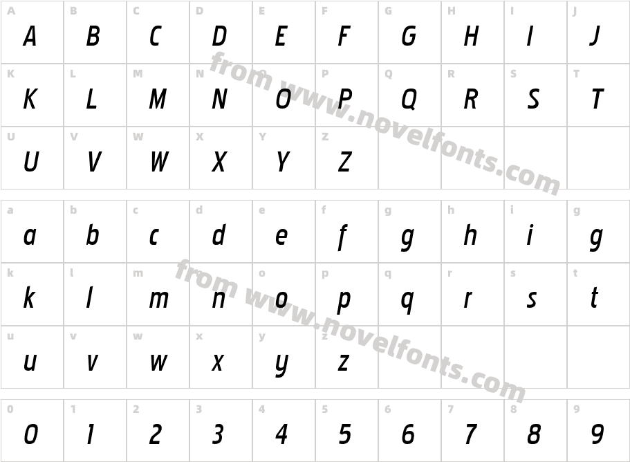 PakenhamBk-ItalicCharacter Map