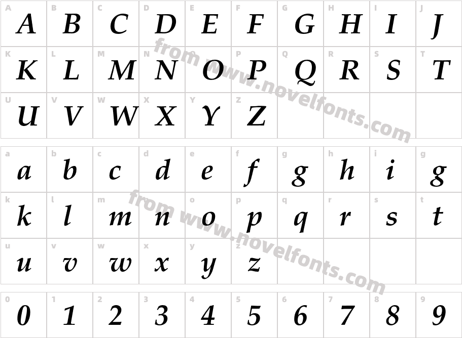 PalladiumC-BoldItalicCharacter Map
