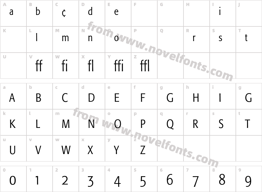 Formata-LightCnExpertCharacter Map