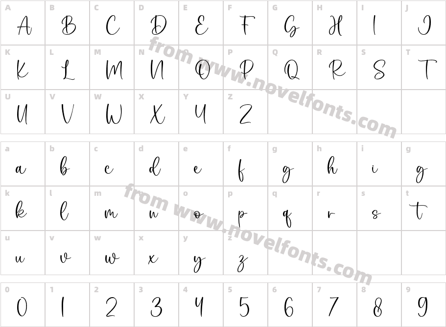 SelviaRegularCharacter Map