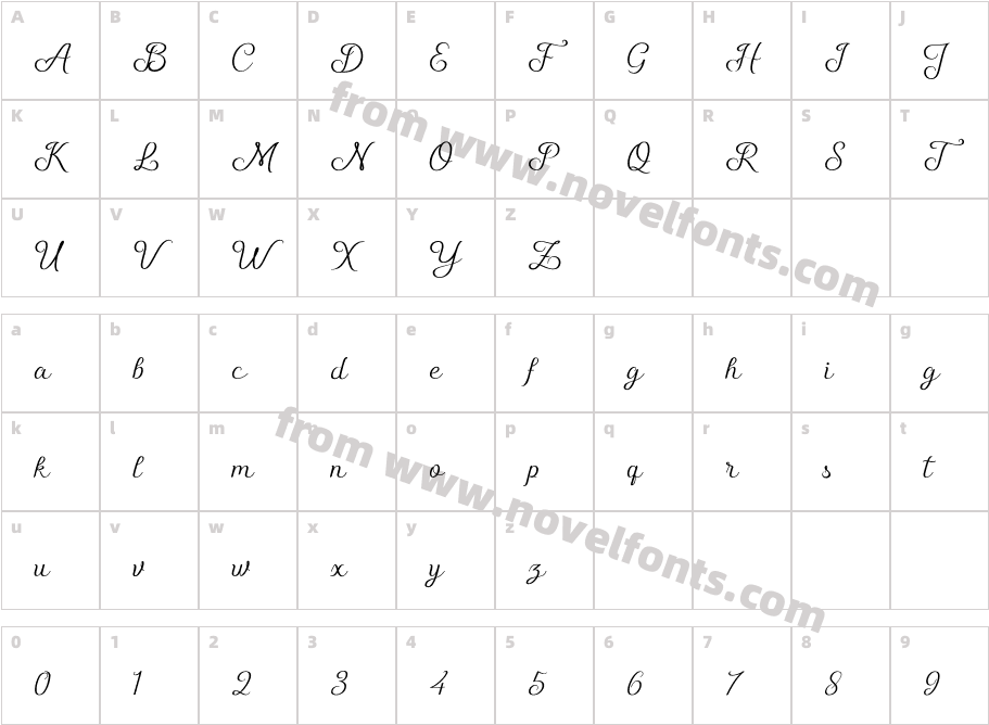 ShellyScriptCharacter Map