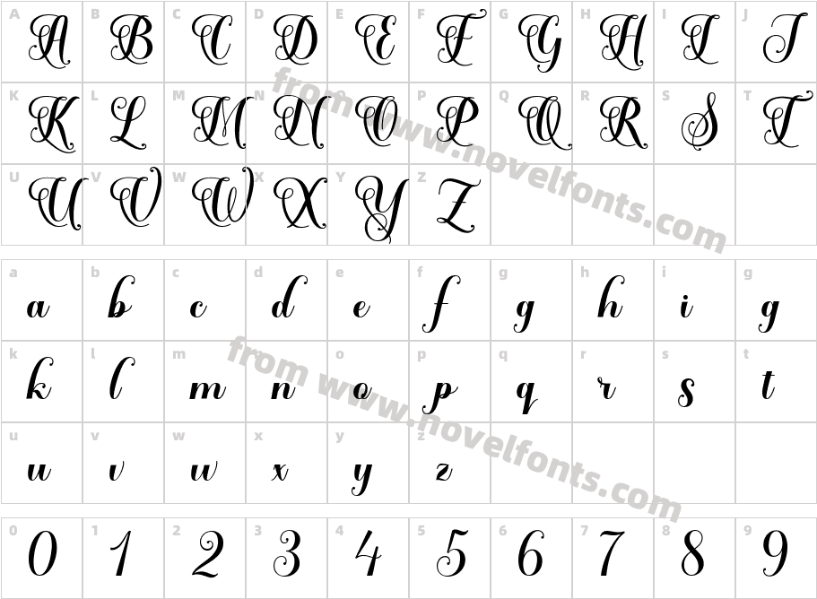 Solidaritasscript-MVe5PCharacter Map