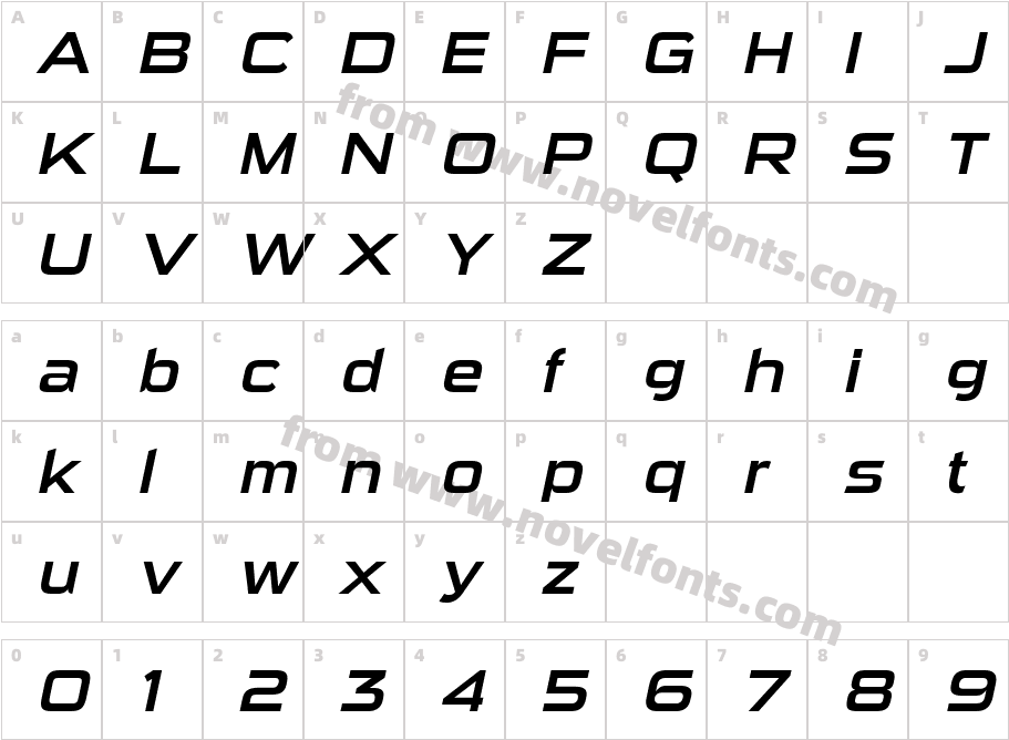 SuiGenerisRg-ItalicCharacter Map