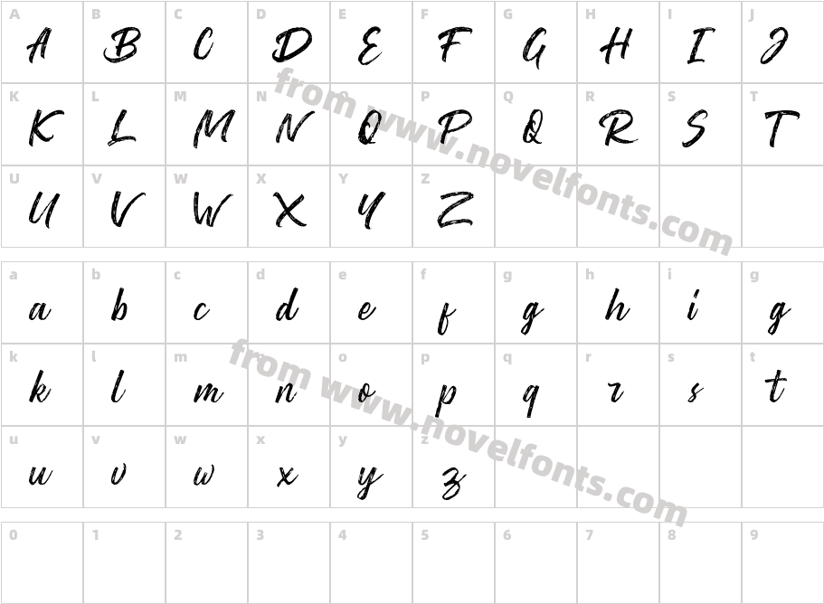 Washington ~ Rough Script DEMO RegularCharacter Map