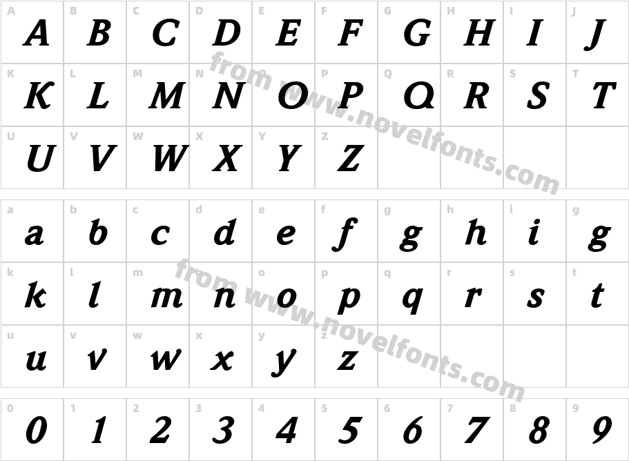 Weidemann LT MediumCharacter Map