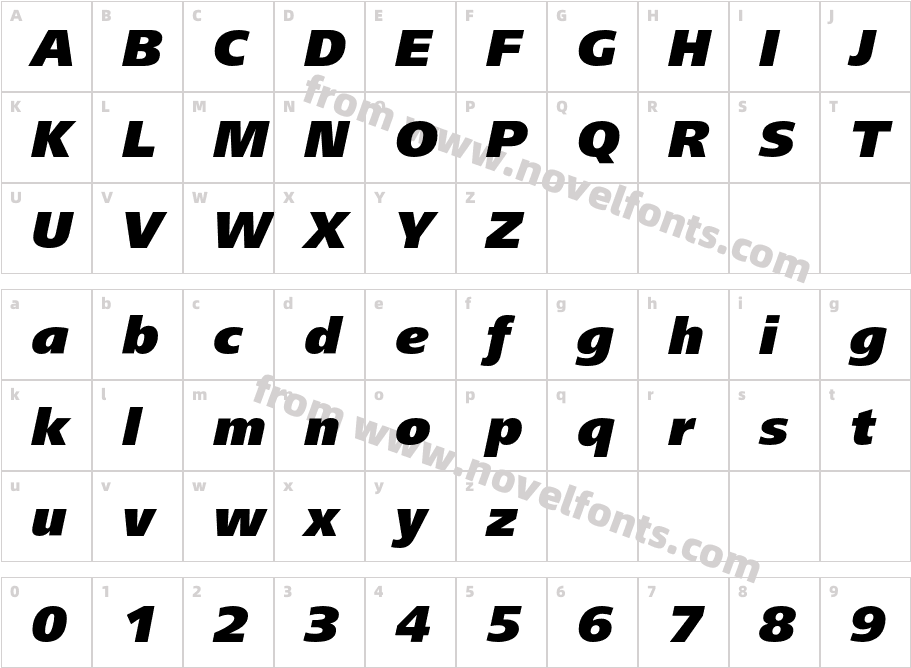 FrutigerNextLT-BlackItalicCharacter Map