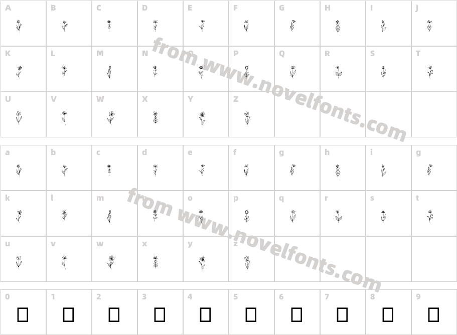 WildflowCharacter Map