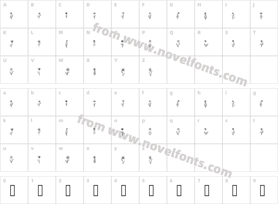 WildflowCharacter Map