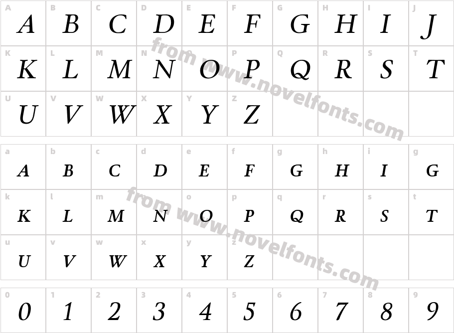 WinthorpeSc-ItalicCharacter Map