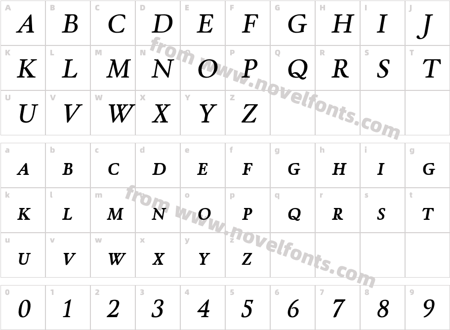 WinthorpeScSb-ItalicCharacter Map