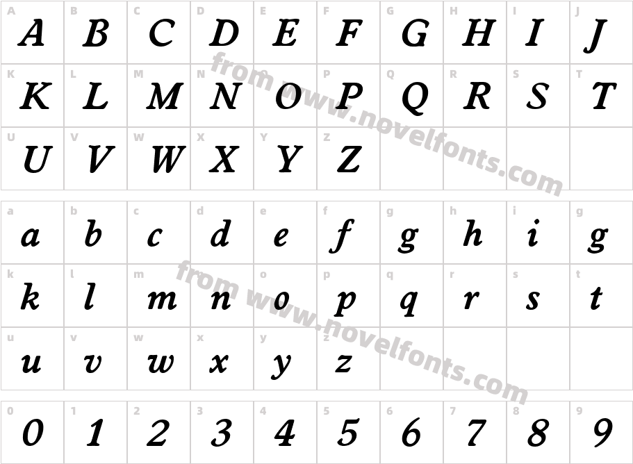 WorcesterSerialBoldItalicCharacter Map