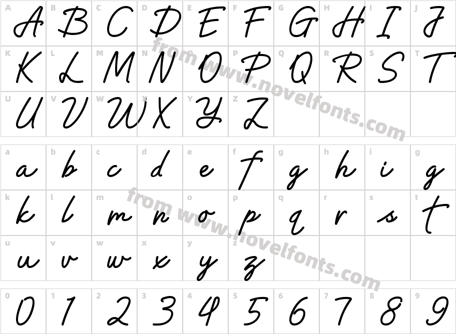 ZYENA DelicacyCharacter Map