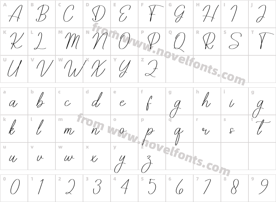 Amelia Signature RegularCharacter Map