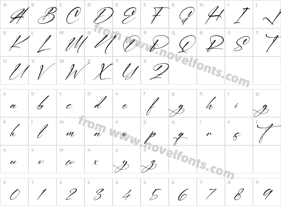 Amsterdam Signature ItalicCharacter Map