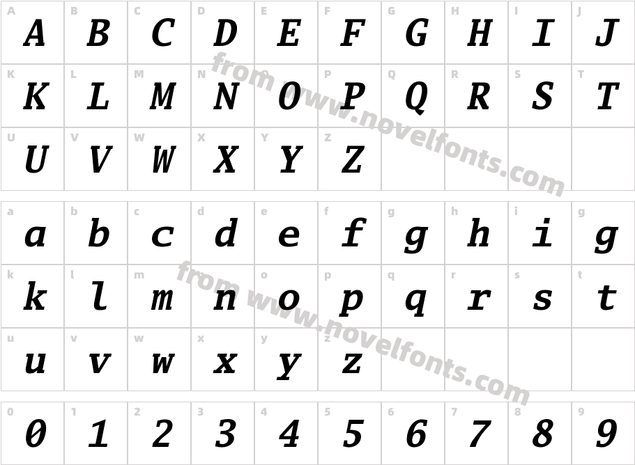 Go Mono Bold ItalicCharacter Map