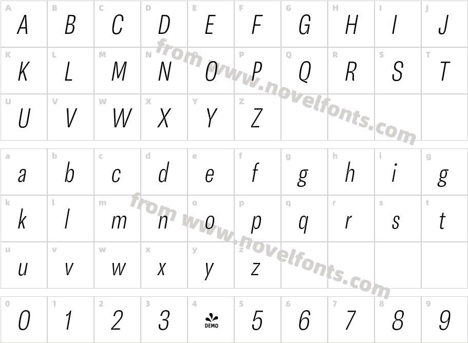 FSP DEMO Cn Light ItalicCharacter Map