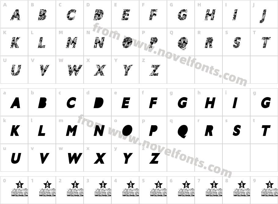 HIBISCUS ITALIC PERSONAL USE Bold ItalicCharacter Map