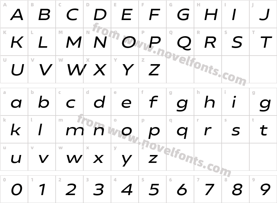 Neue Reman Sans Med Exp ItaCharacter Map