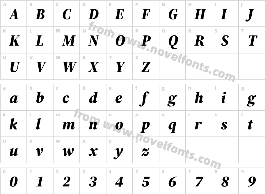 Source Serif 4 48pt Black ItalicCharacter Map