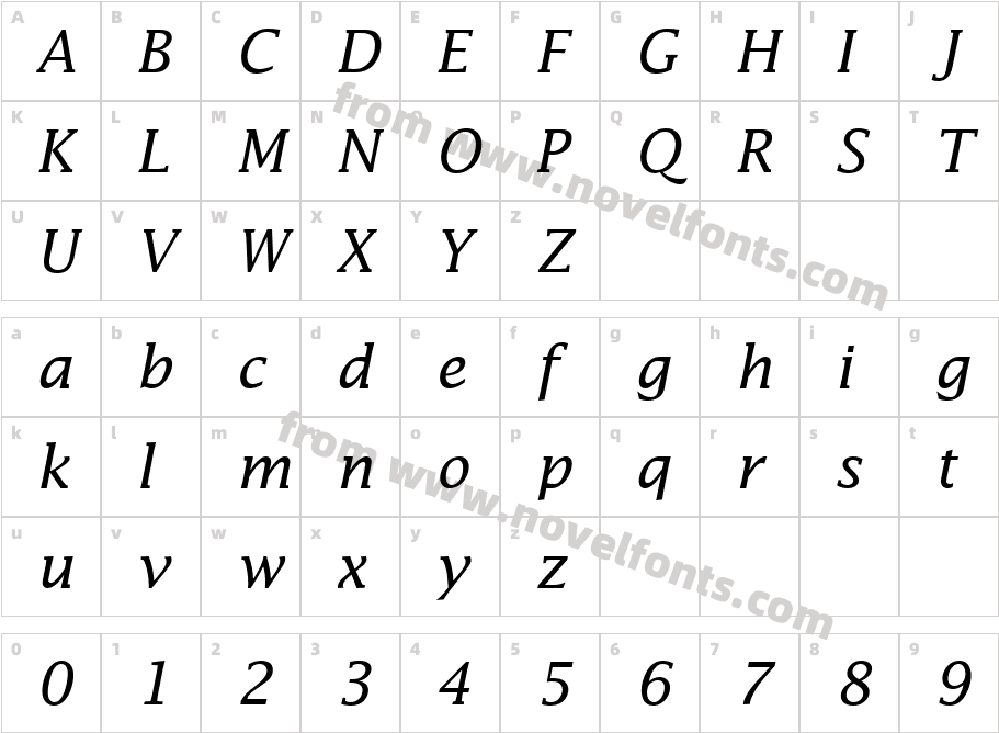 Insight S Si ItalicCharacter Map