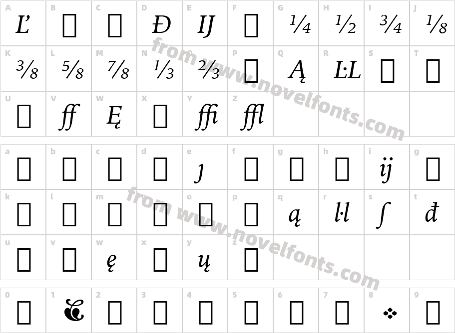 Iowan Old St Ext BT Italic ExtensionCharacter Map